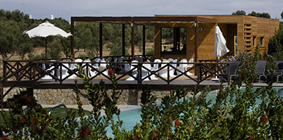 Treehouse Bar