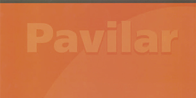 {"ID":28,"PARENT":24,"ID_MENU":0,"NAME":"Pavilar - cat\u00e1logo","DESCRIPTION":"","FILE":"Pavilar-soalho-madeira-macica-v2.pdf","THUMB":"0989011001436536437.jpg","ORDER":3,"LANG":"pt"}