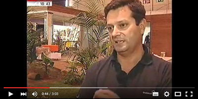 Treehouse na SIC Notícias